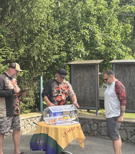 Уляники