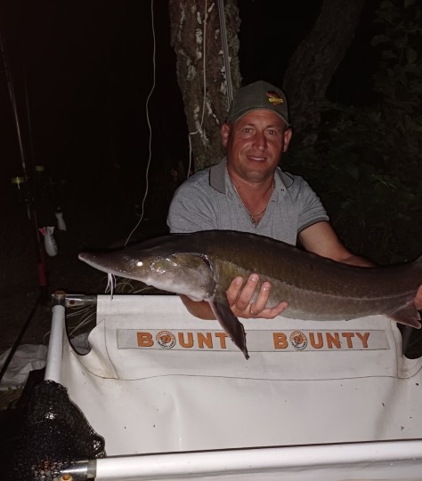Bounty